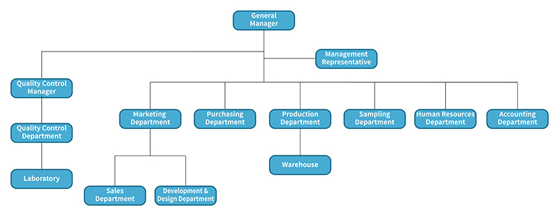 Company Structure